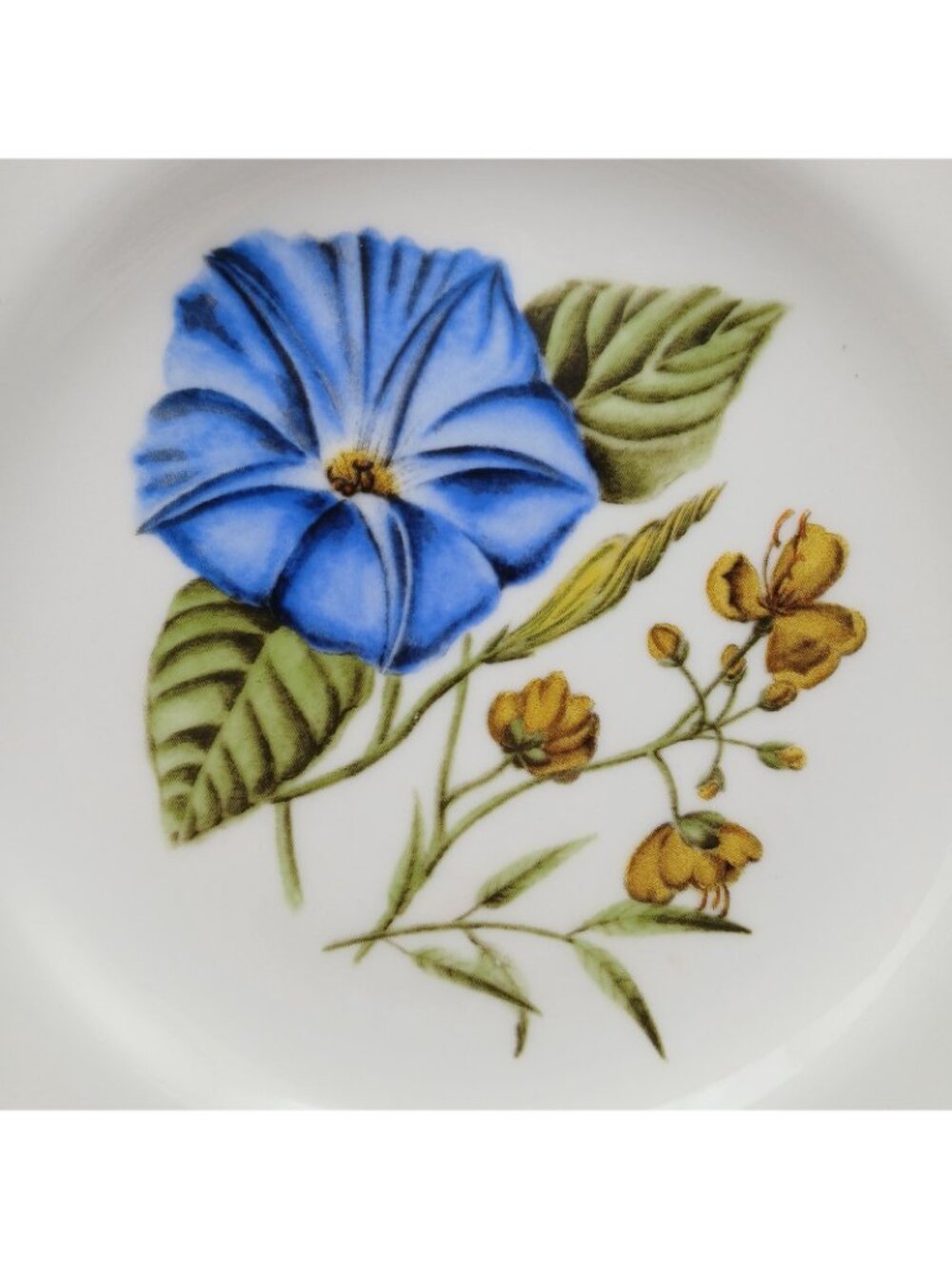 Biltmore Crochet Flower Salad Plates Set 4 Botanical Fine China 9” - Picture 10 of 10